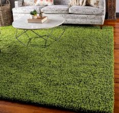Soft Green Shaggy Hall Rug